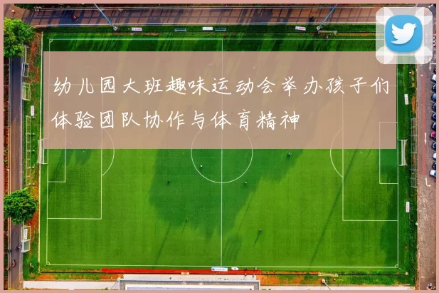 幼儿园大班趣味运动会举办孩子们体验团队协作与体育精神