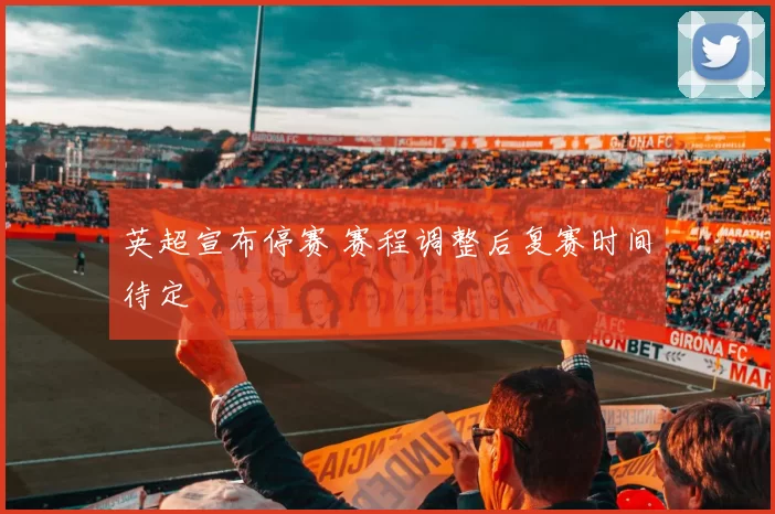 英超宣布停赛 赛程调整后复赛时间待定